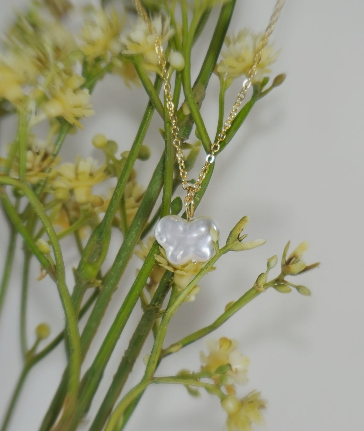 Garden Bloom